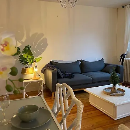 Grand T2 Centre Proche Pistes Et Thermes *