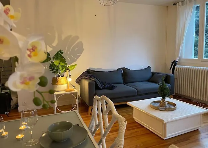 Grand T2 Centre Proche Pistes Et Thermes *